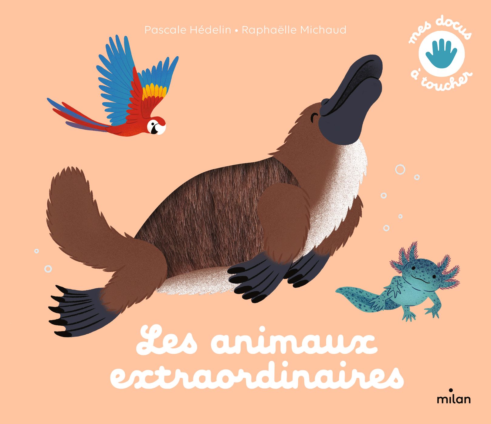 Les Animaux Extraordinaires Editions Milan