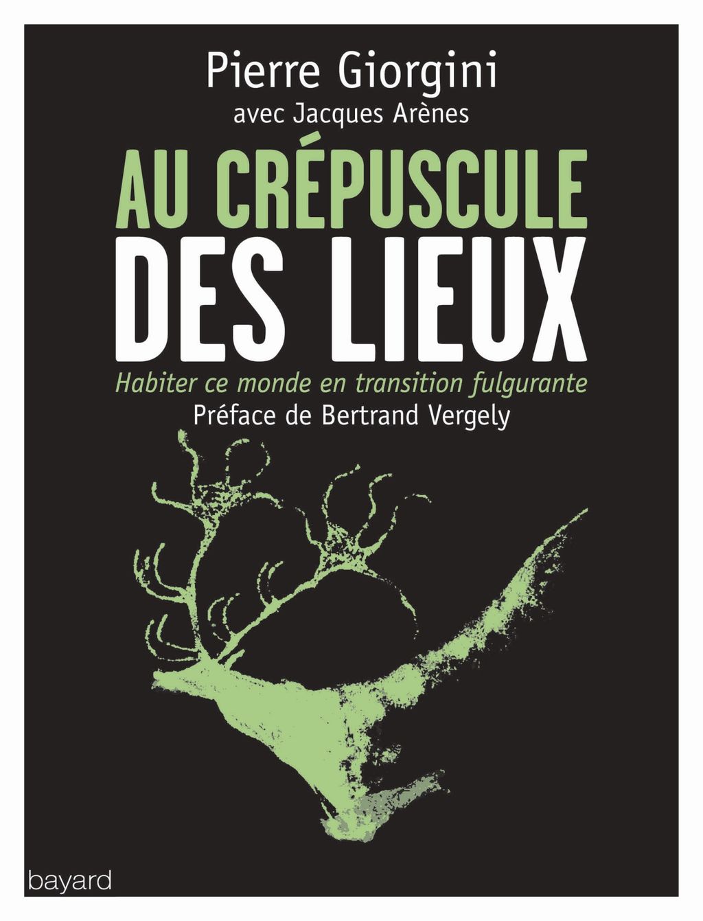 Au Crepuscule Des Lieux Bayard Editions