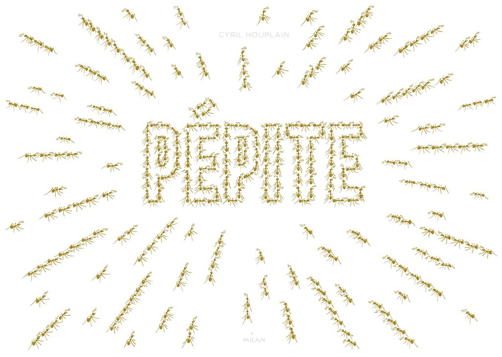 « Pépite » cover