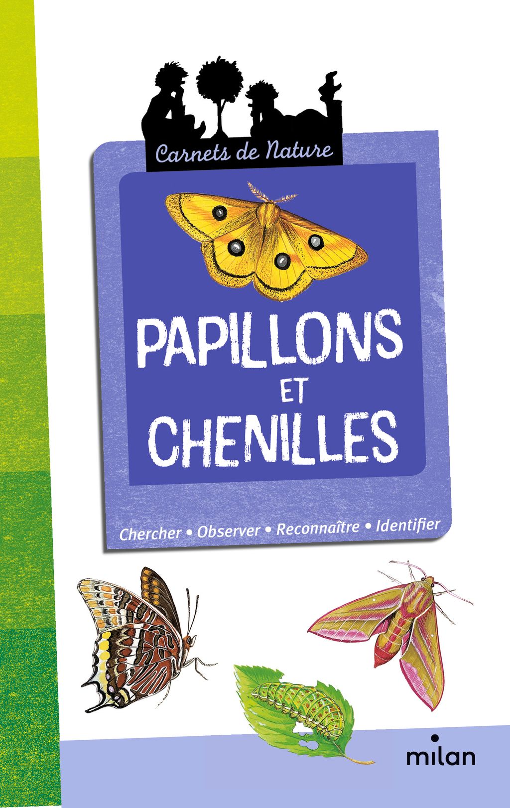 « Papillons et chenilles » cover