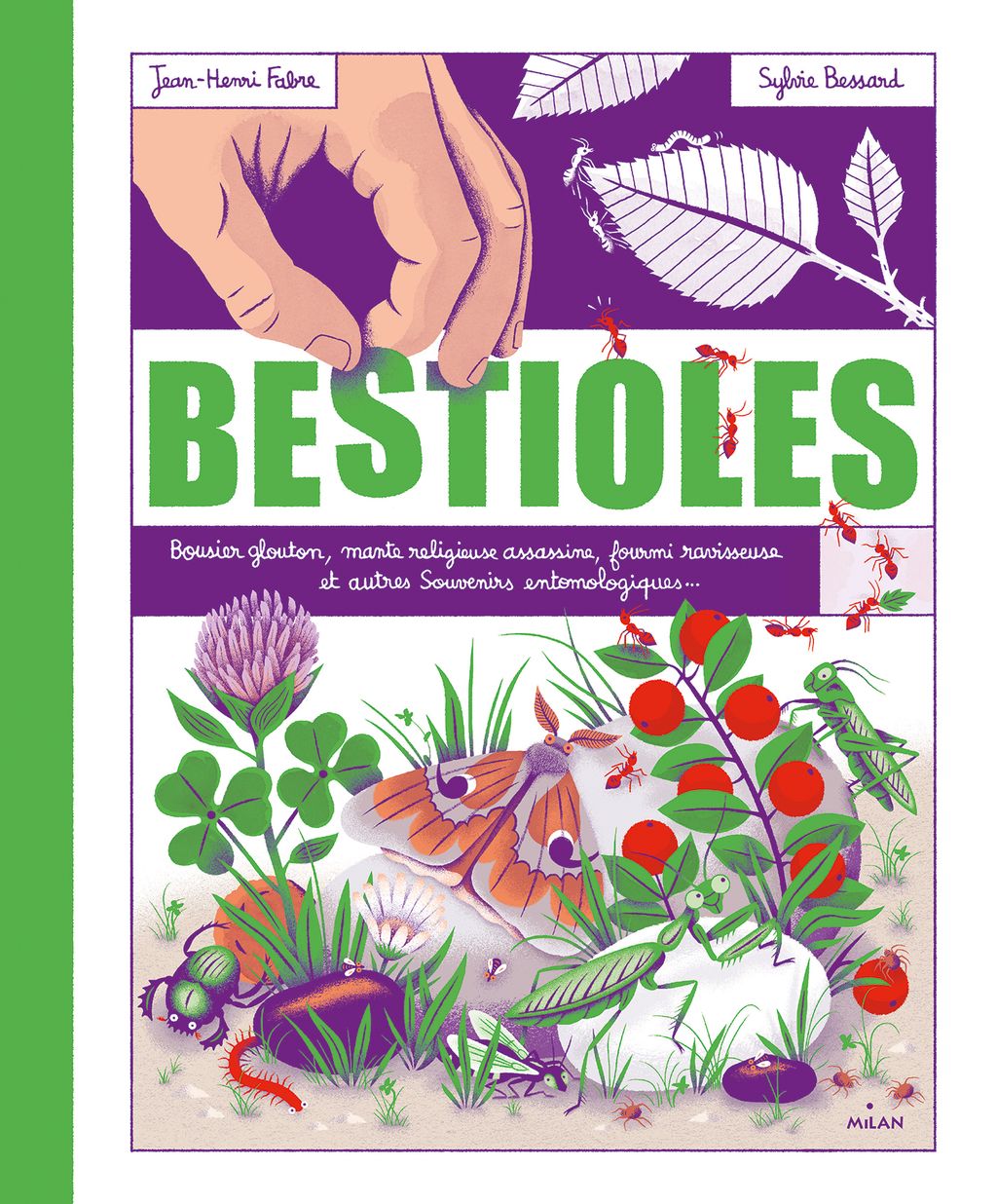 « Bestioles » cover