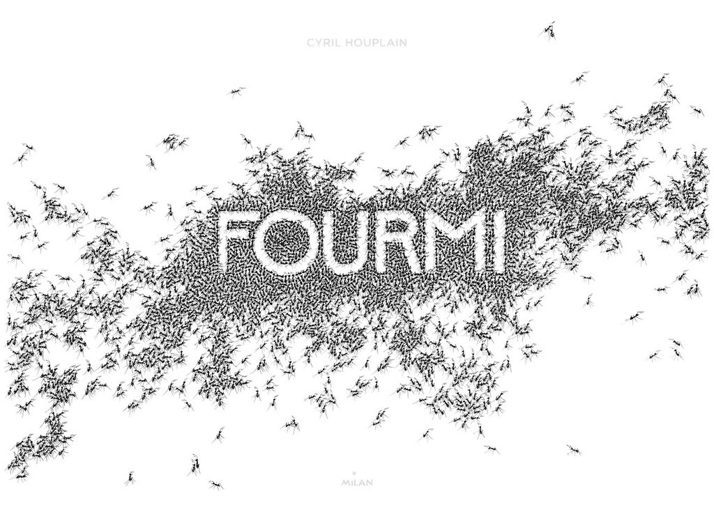 Couverture de « Fourmi »