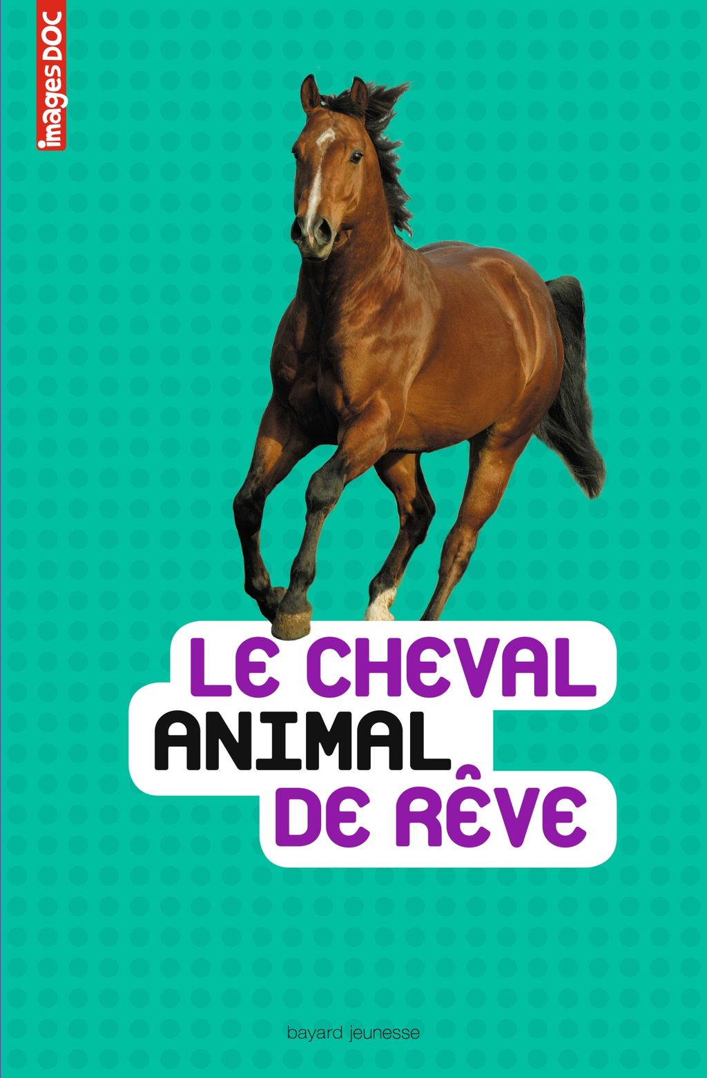Le Cheval Animal De Rêve - 