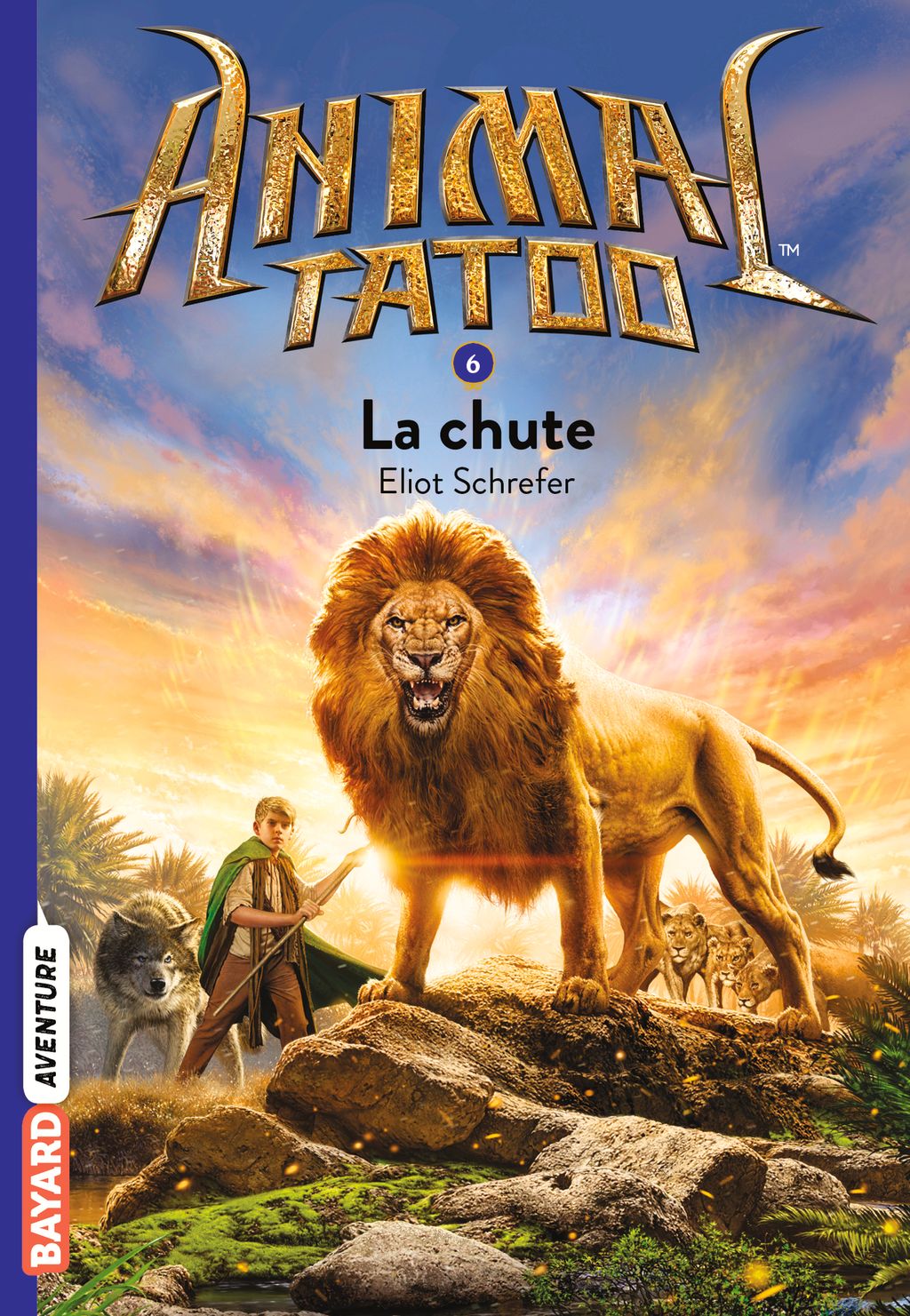 Fantastique Livres En Francais N 6 Griffe Du Chat Sauvage Les Betes Supremes Animal Totem Ecc Com Sa