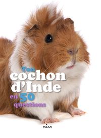 Couverture « Ton cochon d’Inde en 50 questions »