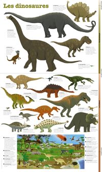 Couverture « Les dinosaures – poster »