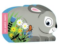 Couverture « Un petit lapin »