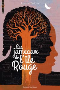 Cover of « Les jumeaux de l’île rouge »