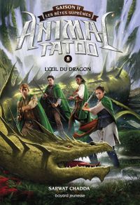 Cover of « L’œil du dragon »
