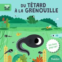Couverture « Du têtard à la grenouille – Pop up »