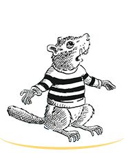 Couverture de BD Kids Le mont des brumes