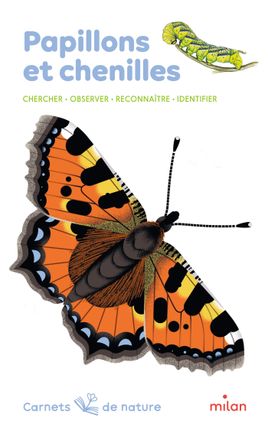 Couverture de Papillons et chenilles 