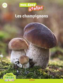 Couverture de Bioviva - Les champignons