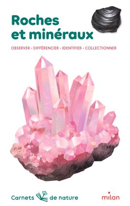 Couverture de Roches et minéraux