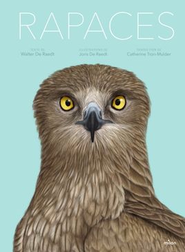 Couverture de Rapaces