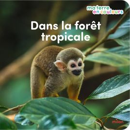 Couverture de Dans la forêt tropicale
