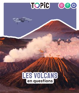 Couverture de Les volcans