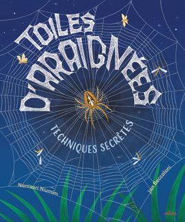 Couverture de Toiles d’araignées : techniques secrètes