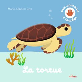 Couverture de La tortue