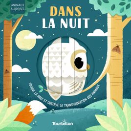 Couverture de Dans la nuit