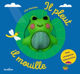 Couverture de Il pleut, il mouille