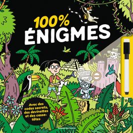 Couverture de 100 % énigmes NE