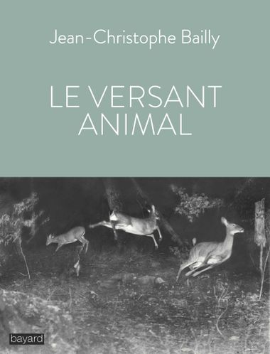 Couverture de « Le versant animal »