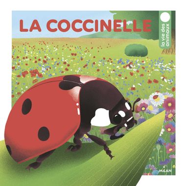 Couverture de « La coccinelle »