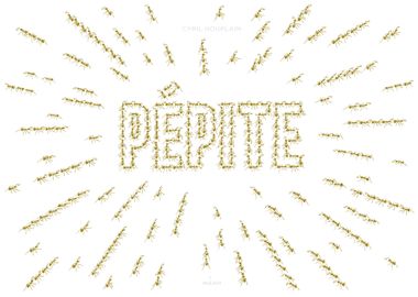 Couverture de « Pépite »