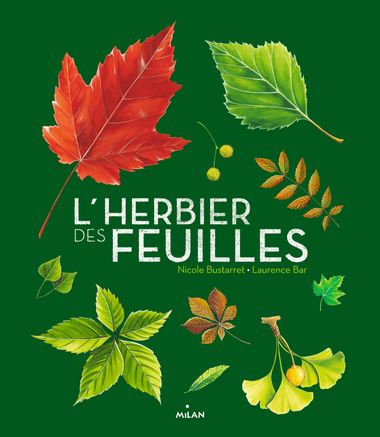 Couverture de « L’herbier des feuilles »