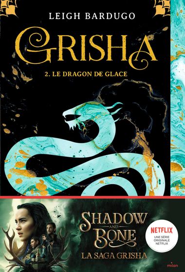 Couverture de « Le dragon de glace »