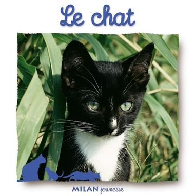 Couverture de « Le chat »