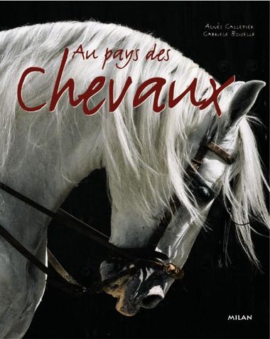 Couverture de « Au pays des chevaux »