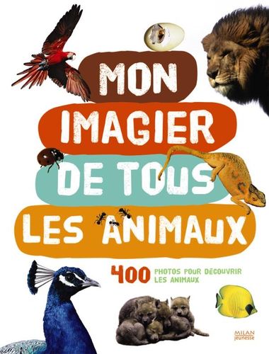 Couverture de « Mon imagier de tous les animaux, 400 photos pour découvrir les animaux »
