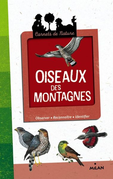 Couverture de « Oiseaux des montagnes »