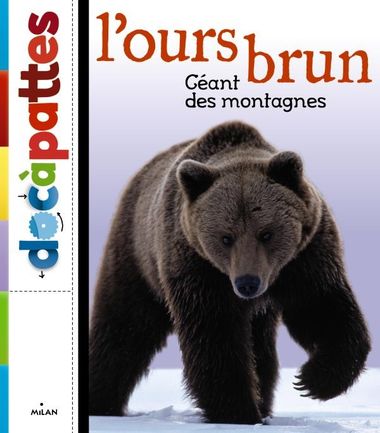 Couverture de « L’ours brun »