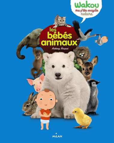 Couverture de « Les bébés animaux »