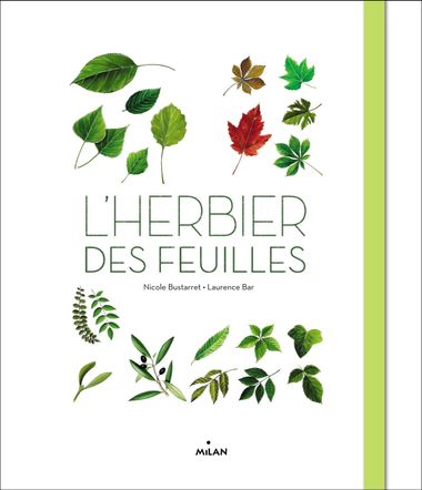 Couverture de « L’herbier des feuilles »