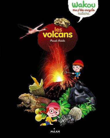 Couverture de « Les volcans »