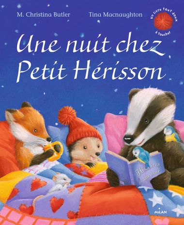 Couverture de « Une nuit chez Petit Hérisson »