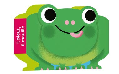 Couverture de « Il pleut, il mouille »