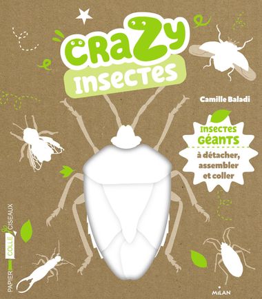 Couverture de « Crazy insectes »