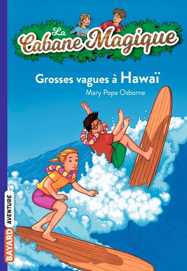 Couverture de « Grosses vagues à Hawaï »