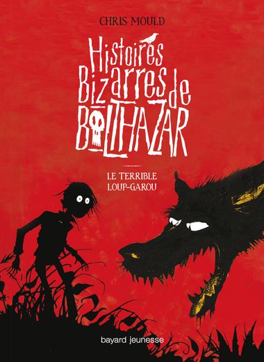 Couverture de « Le terrible loup-garou »