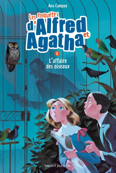 Couverture de « L’affaire des oiseaux »