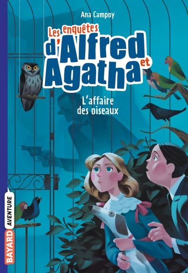 Couverture de « L’affaire des oiseaux »