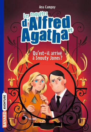 Couverture de « Qu’est-il arrivé à Snouty Jones ? »