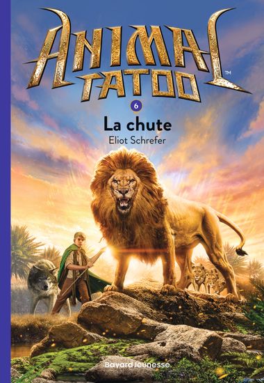 Couverture de « La chute »
