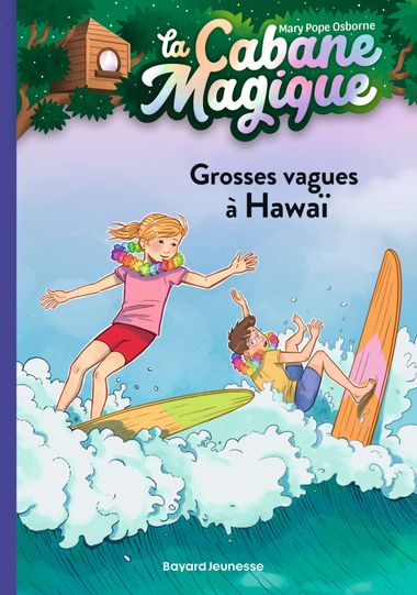 Couverture de « Grosses vagues à Hawaï »