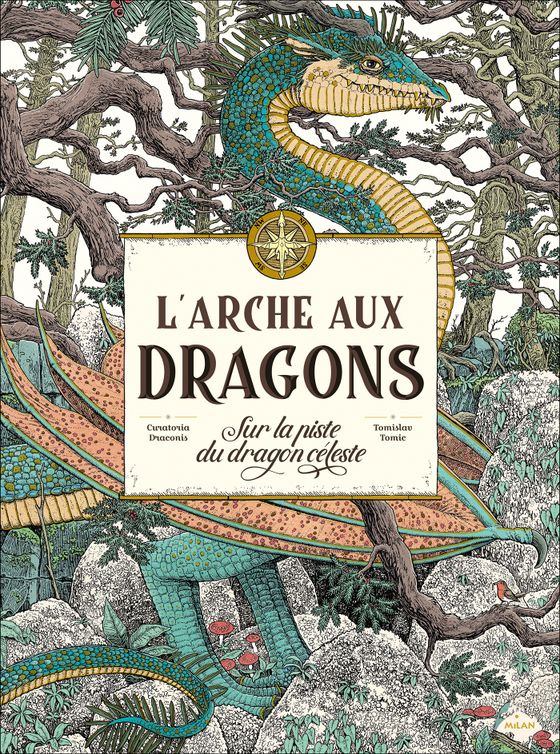 Couverture de L'arche aux dragons - Sur la piste du dragon céleste 